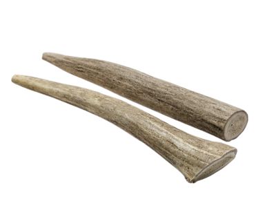 Image showing  Whole Naturally Shed 5 in. Deer Antler Dog Treats, Small, 1CT