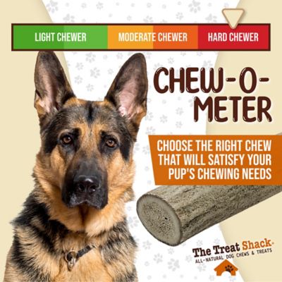 Image showing 5 th The Treat Shack Whole Naturally Shed 5 in. Deer Antler Dog Treats, Small, 1CT