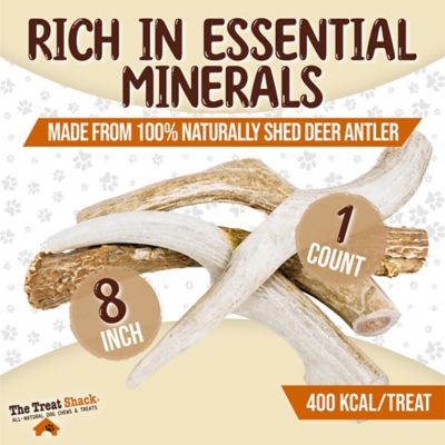 Image showing  Whole Naturally Shed 8 in. Deer Antler Dog Treats, X-Large, 1CT