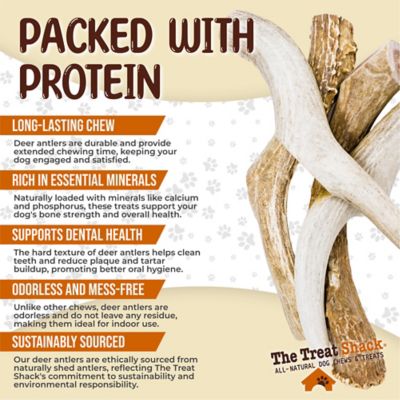 Image showing  Whole Naturally Shed 8 in. Deer Antler Dog Treats, X-Large, 1CT