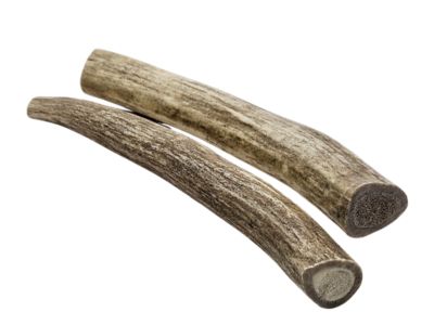 Image showing  Whole Naturally Shed 6 in. Deer Antler Dog Treats, Medium, 1CT