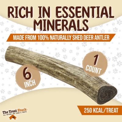 Image showing  Whole Naturally Shed 6 in. Deer Antler Dog Treats, Medium, 1CT