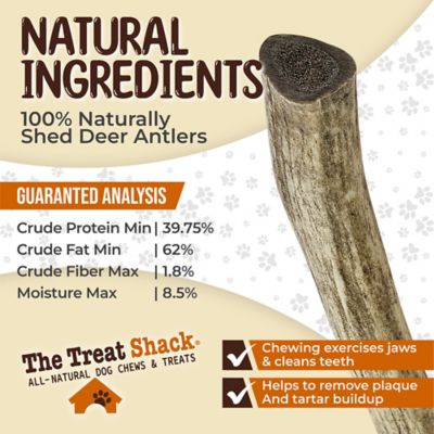 Image showing  Whole Naturally Shed 6 in. Deer Antler Dog Treats, Medium, 1CT
