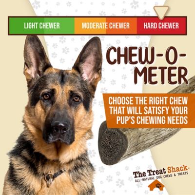 Image showing 5 th The Treat Shack Whole Naturally Shed 6 in. Deer Antler Dog Treats, Medium, 1CT