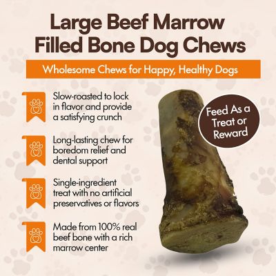 Image showing  Large Beef Marrow Filled Bone Dog Chew Treat, 1CT