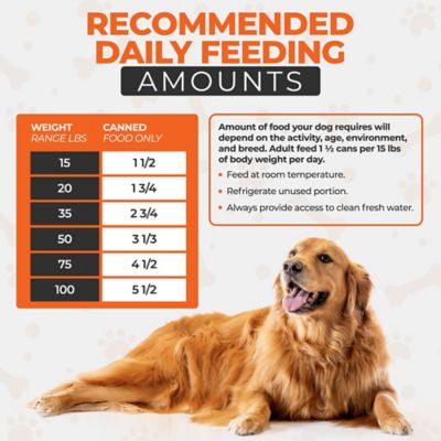 Image showing  Scoochies Recipe Variety Pack Real Chicken & Duck in Savory Gravy Wet Dog Food, 14 oz. can, Case of 6