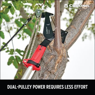 Image showing  FlexREACH System 1-1/4 in. Pruner Head