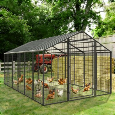 Veikous 8 x 10ft. Metal Chicken Coop Walk-in Chicken House for Yard