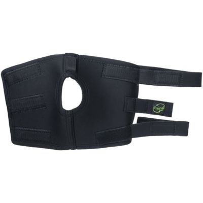 Image showing  Ceramic Infused Hock Boots