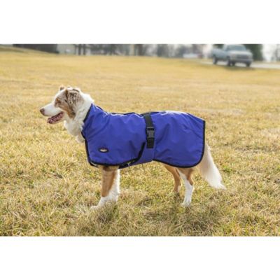 Image showing  600D Deluxe Dog Blanket