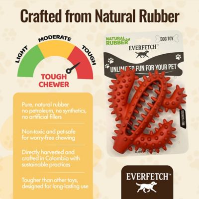 Image showing 3 th EVERFETCH Natural Rubber Red Dental Cactus BBQ Scented Durable Dog Toy