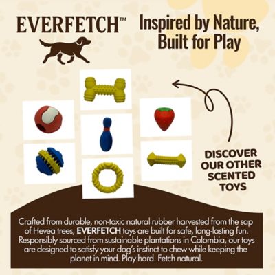 Image showing 4 th EVERFETCH Natural Rubber Red Dental Cactus BBQ Scented Durable Dog Toy