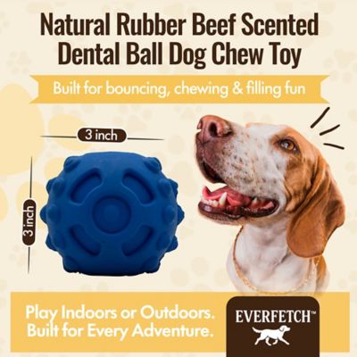 Image showing  Natural Rubber Blue Dental Ball Treat-Holder Beef Scented Durable Dog Toy