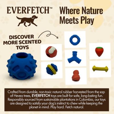 Image showing  Natural Rubber Blue Dental Ball Treat-Holder Beef Scented Durable Dog Toy