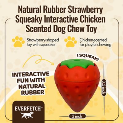 Image showing  Natural Rubber Red/Green Squeaky Interactive Strawberry Chicken Scented Durable Dog Toy