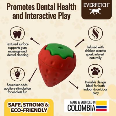 Image showing  Natural Rubber Red/Green Squeaky Interactive Strawberry Chicken Scented Durable Dog Toy