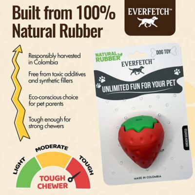 Image showing  Natural Rubber Red/Green Squeaky Interactive Strawberry Chicken Scented Durable Dog Toy