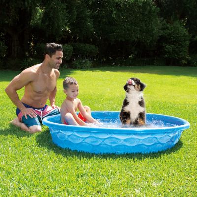 Image showing 3 th Funsicle Quick Fun Pool