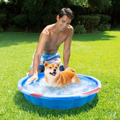 Image showing  Americana Quick Fun Pool