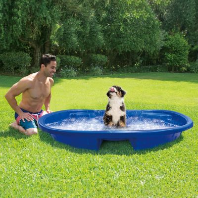 Image showing  Quick Fun Curve Pool