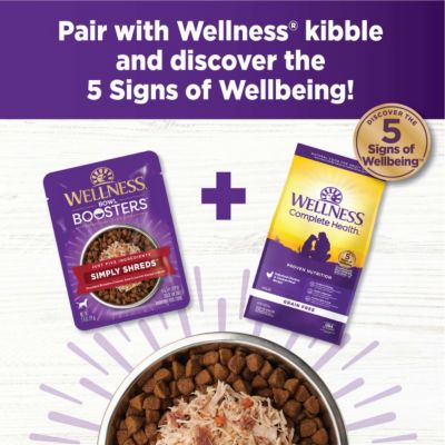 Image showing 5 th Wellness Bowl Boosters Simply Shreds Wet Dog Food Topper - Wild Salmon & Pumpkin, 2.8 Ounce