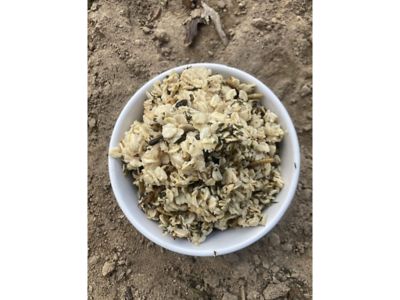 Image showing  Cold Winter Nights, Warm Oatmeal Treat for Extra Calories