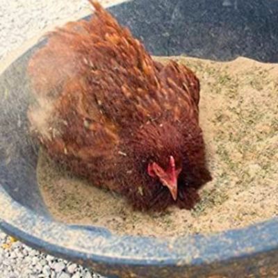 Image showing  Pick Me Up Dust Bath With Herbs - For Pet Chickens & Other Poultry, FLORAL10