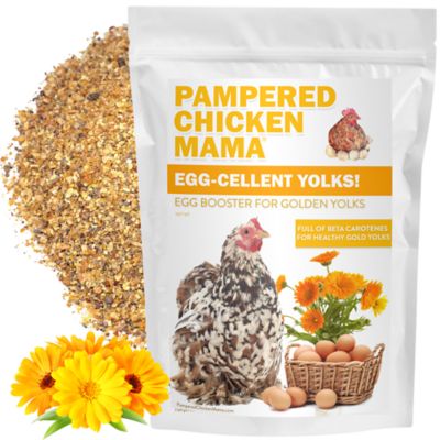 Pampered Chicken Mama Egg-Cellent Yolks for Healthy, Golden Yolks Naturally