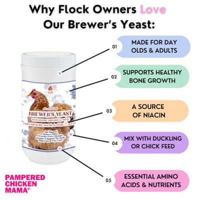Image showing  Brewer's Yeast with Garlic, Oregano and Echinacea For Adult Chickens, Baby Chicks, Ducks & Ducklings, BY4