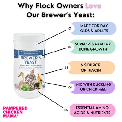 Image showing  Brewer's Yeast with Garlic, Oregano and Echinacea For Adult Chickens, Baby Chicks, Ducks & Ducklings, BY8