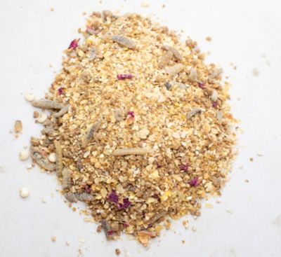 Image showing  Chickeratti Treat For Baby Chicks