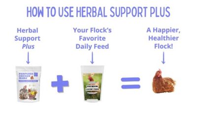 Image showing  Herbal Support Plus Feed Additive For Chickens, Ducks, Quail, & Other Poultry, HSP2.5