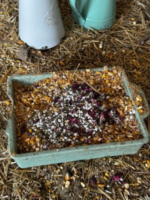 Image showing  Herbal Oyster Shells, HOY6