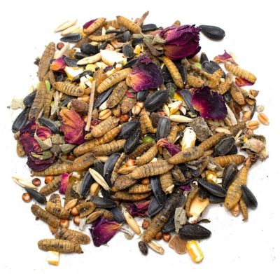 Pampered Chicken Mama Sunflower Power Textured Treat With Sunflower Seeds, BloomGrubs, Rose, Sage and Corn