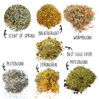 Image showing  Nesting Herb Starter Bundle - 7 Different Nesting & Coop Herbs