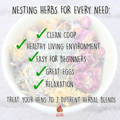 Image showing  Nesting Herb Starter Bundle - 7 Different Nesting & Coop Herbs, NHSB56