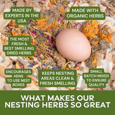 Image showing  Nesting Herb Starter Bundle - 7 Different Nesting & Coop Herbs, NHSB56