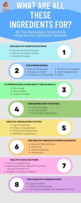 Image showing  Herbal Non-GMO Chick Starter and Grower Feed With Oregano & Garlic For Baby Chicks