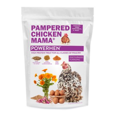 Pampered Chicken Mama PowerHen High Protein Treat With Mealworms, Black Soldier Fly Larvae, & Herbs for Backyard Chickens