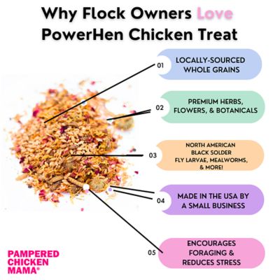 Image showing  PowerHen High Protein Treat With Mealworms, Black Soldier Fly Larvae and Herbs for Backyard Chickens