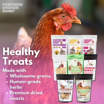 Image showing  Chicken Treat Sampler Bundle, 8 Different Treats In One Box!, 10 lb. Total