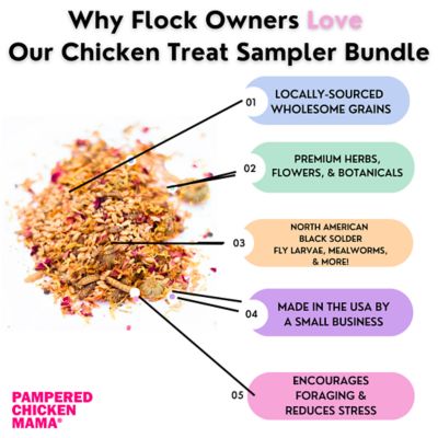 Image showing  Chicken Treat Sampler Bundle, 8 Different Treats In One Box!, 10 lb. Total