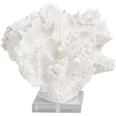 Image showing  Polystone Textured Coral Decorative Sculpture with Clear Acrylic Base