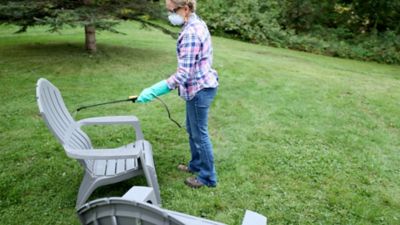 Image showing  Vinegar Sprayer