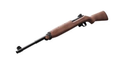 Image showing  BB Guns