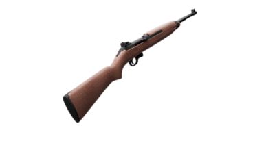 Image showing  BB Guns