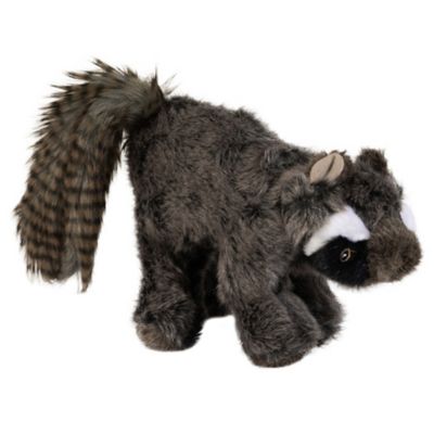 Image showing  Wildlife Critters