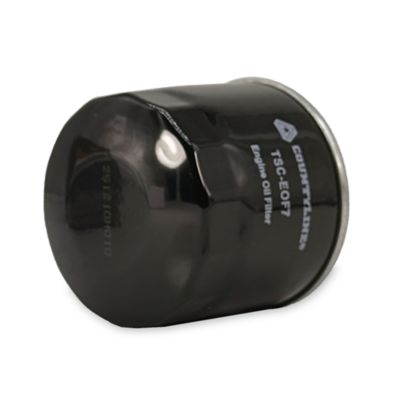 Image showing  Engine Oil Filter, EOF7