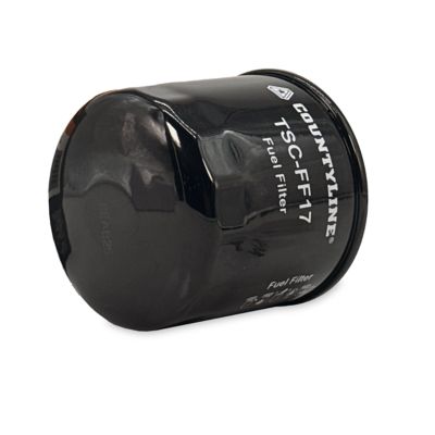 Image showing  Fuel Filter, FF17