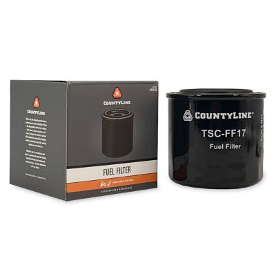 Image showing  Fuel Filter, FF17